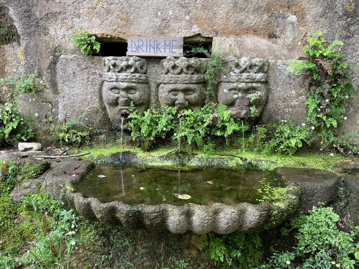 Associacao Quinta Das Relvas Branca Bagian luar foto