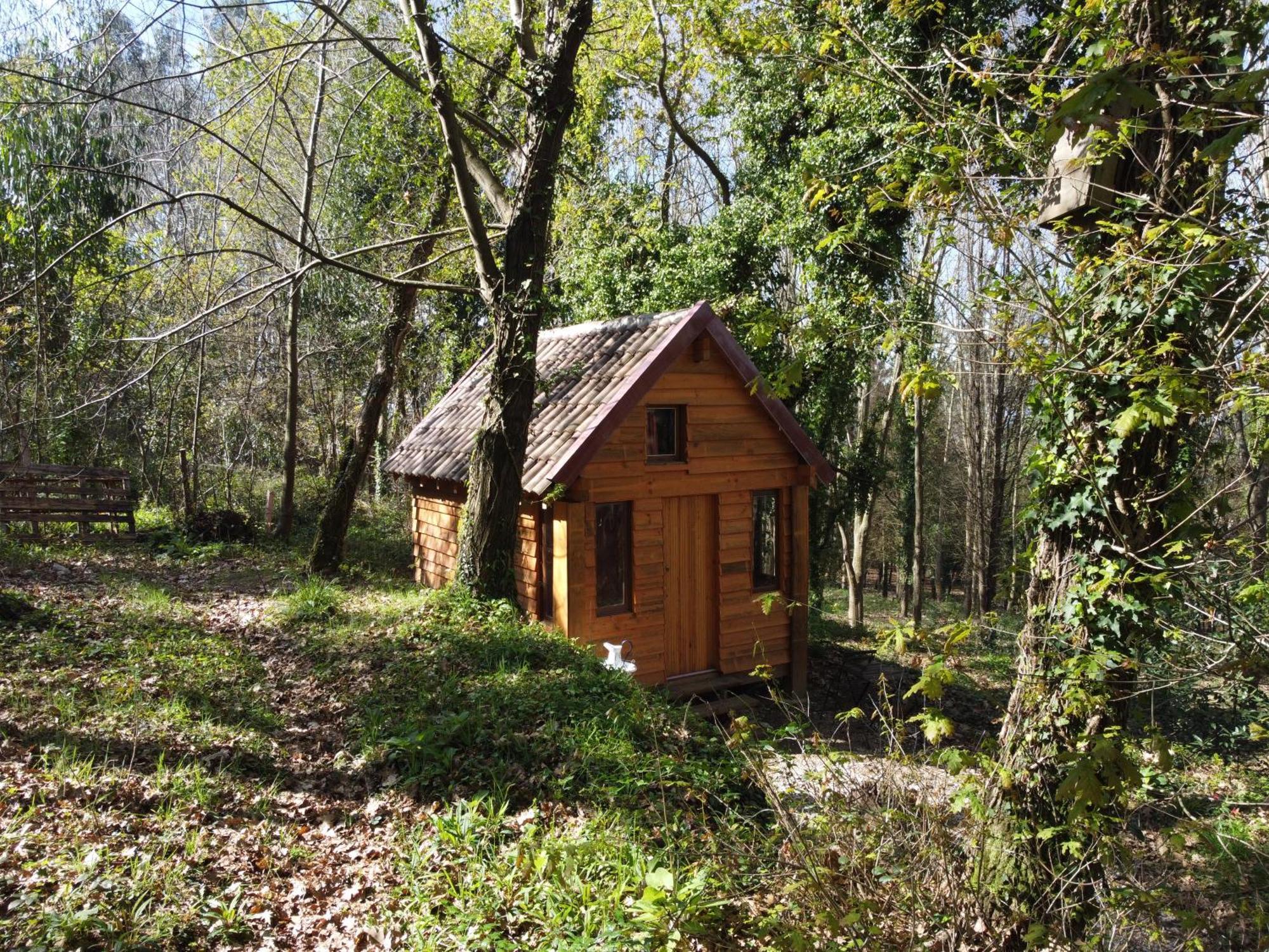 Associacao Quinta Das Relvas Branca Bagian luar foto