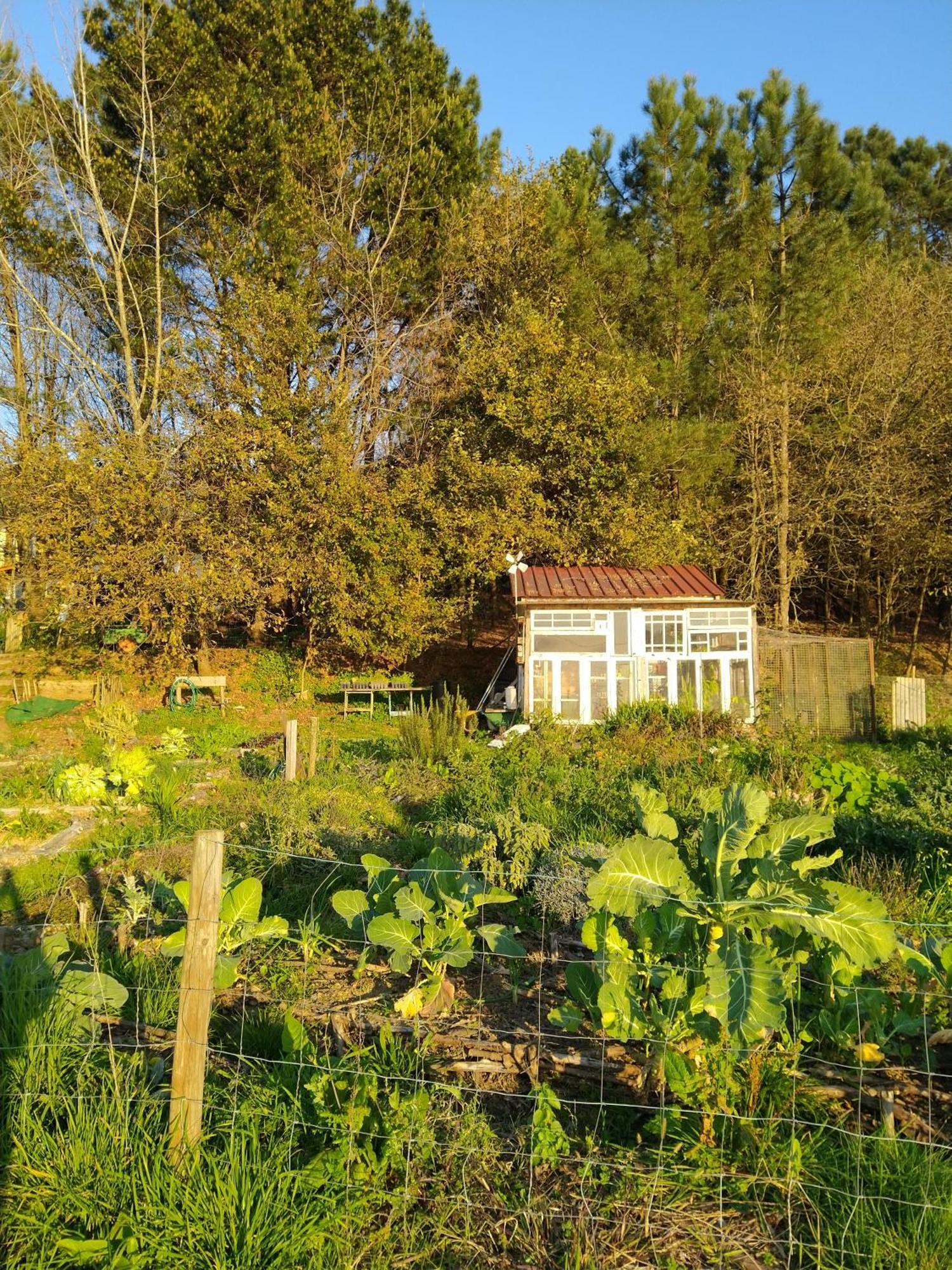 Associacao Quinta Das Relvas Branca Bagian luar foto