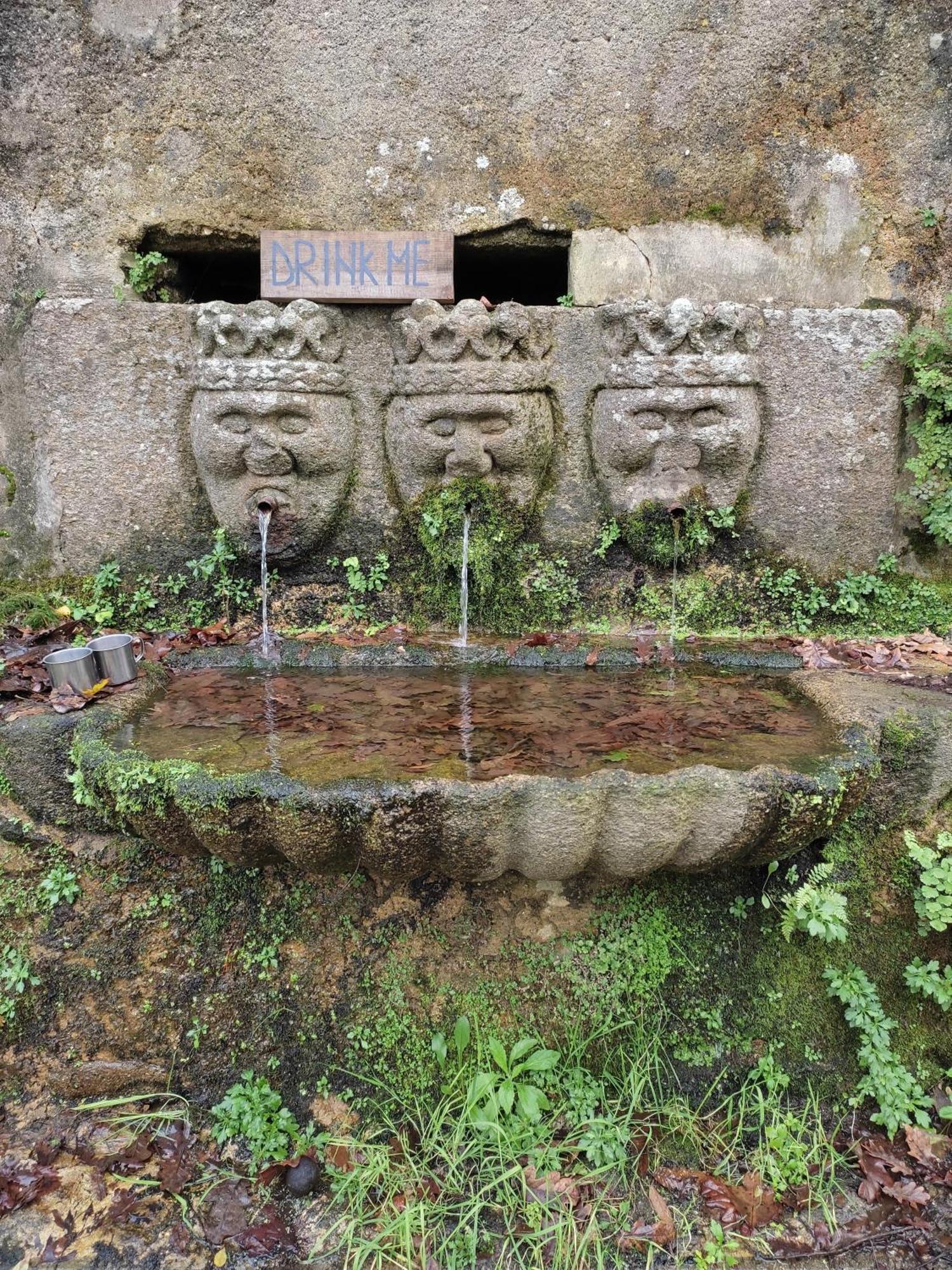 Associacao Quinta Das Relvas Branca Bagian luar foto