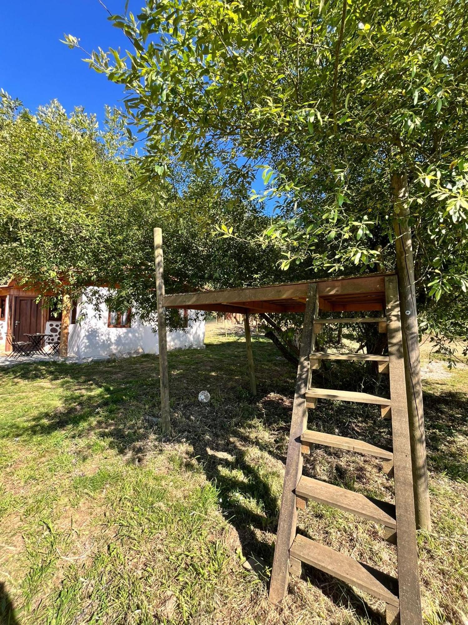 Associacao Quinta Das Relvas Branca Bagian luar foto