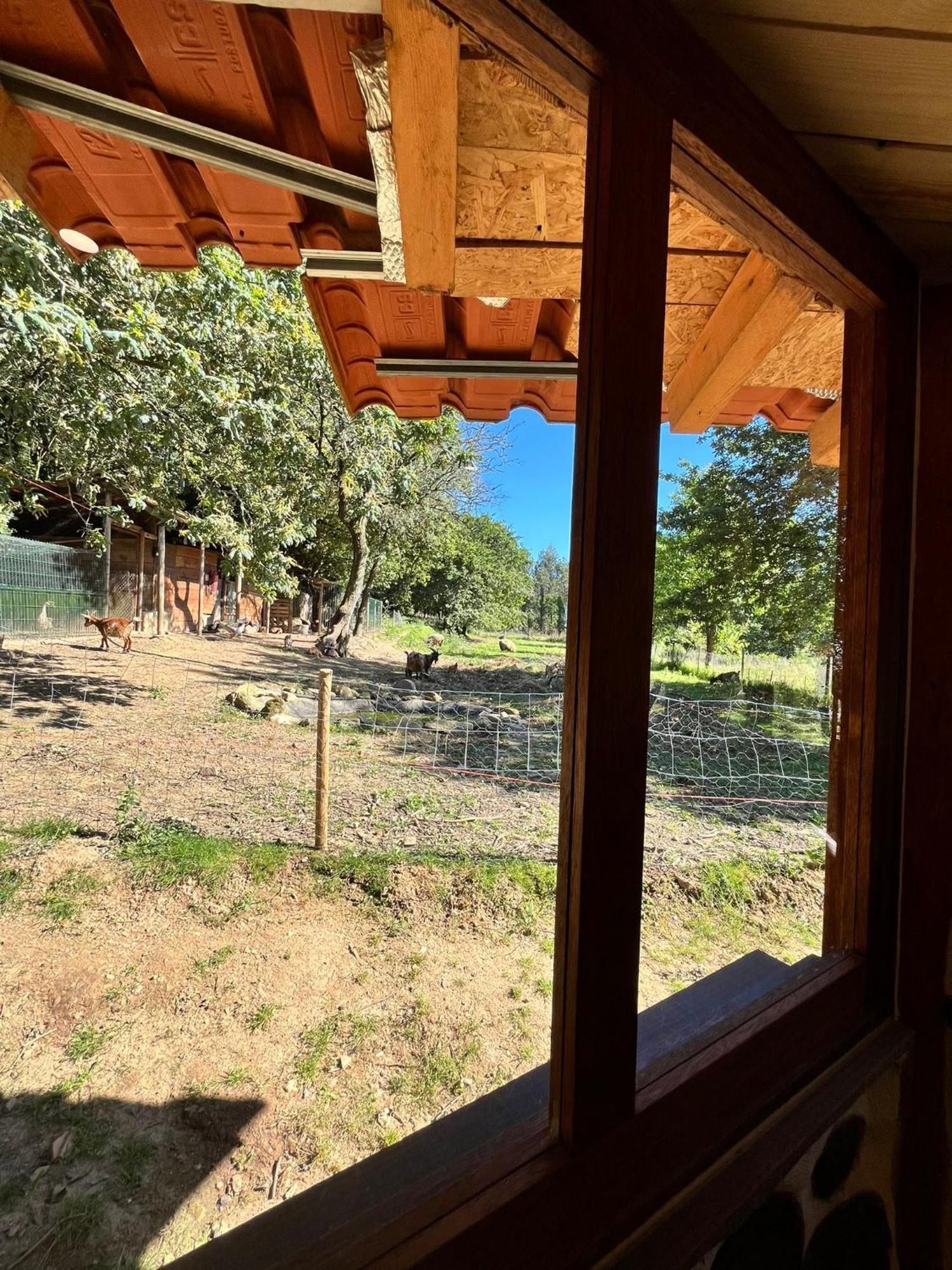 Associacao Quinta Das Relvas Branca Bagian luar foto